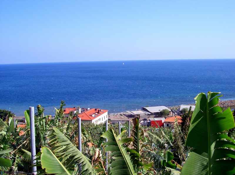 Blick von der Dachterrasse cimg8639.jpg