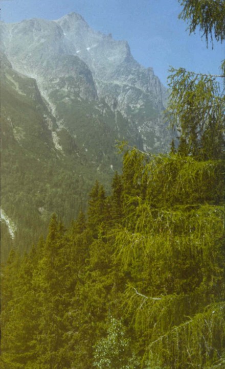 tatry90/Dias/b615.jpg